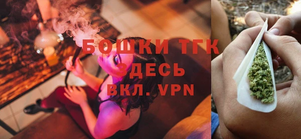 шишки Вязники