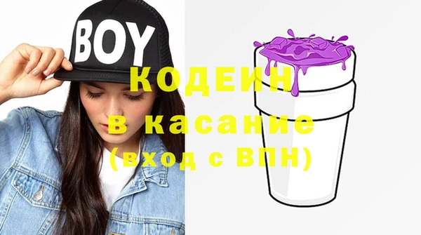 прущий лед Вяземский