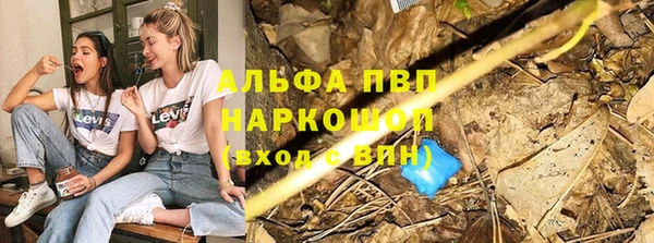 прущий лед Вяземский