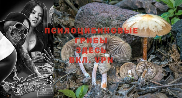 эйфоретик Волоколамск