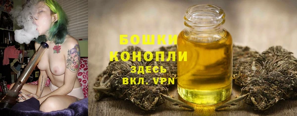 прущий лед Вяземский